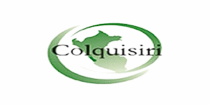 Colquisini